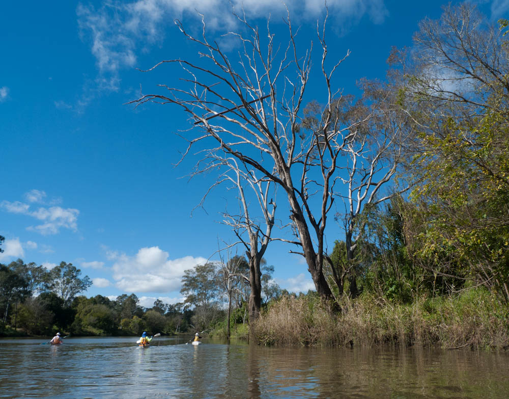 Flood marker on the Bremer River