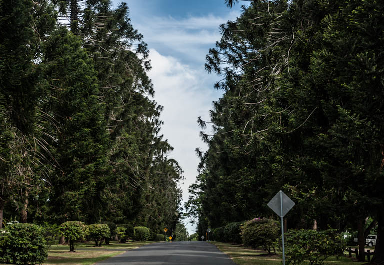 Rockhampton Botanic Gardens